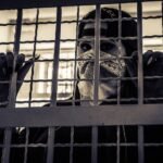 jail, gangster, caught